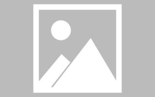 伊川免编程制作网站（免编程制作网站推荐）
